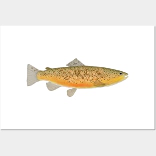 Brown Trout Posters and Art